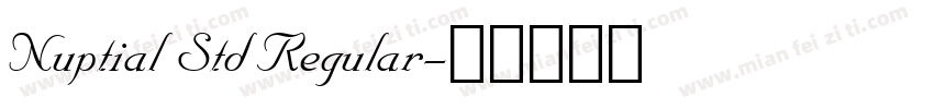 Nuptial Std Regular字体转换
